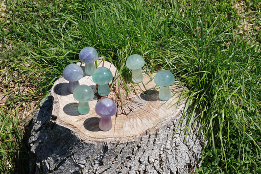 Fluorite Magic Mushrooms