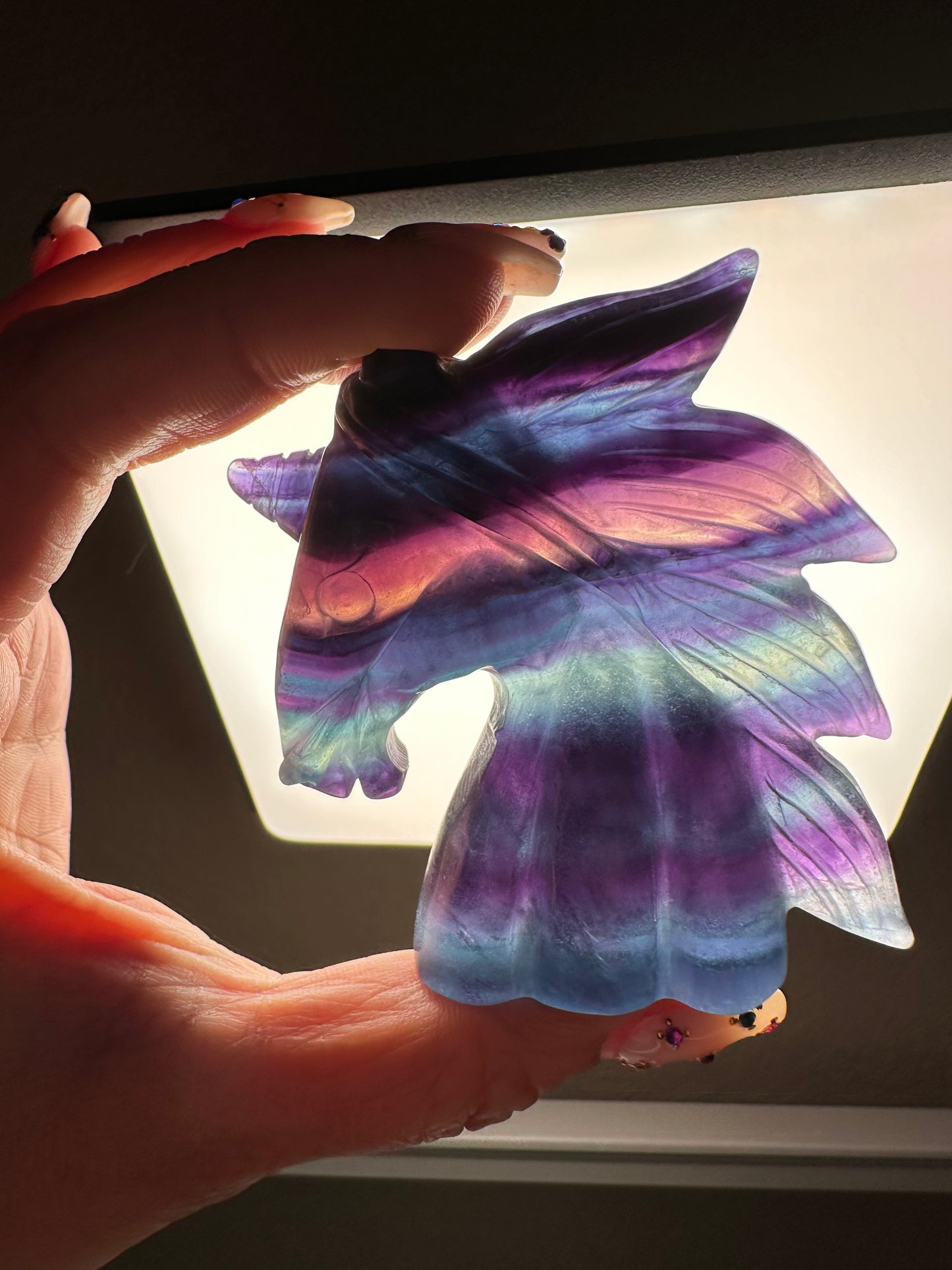 Majestic Unicorn Made of Rainbow Fluorite