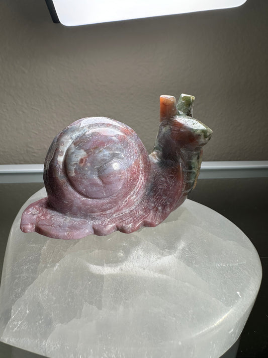 Ocean Jasper Large Snail